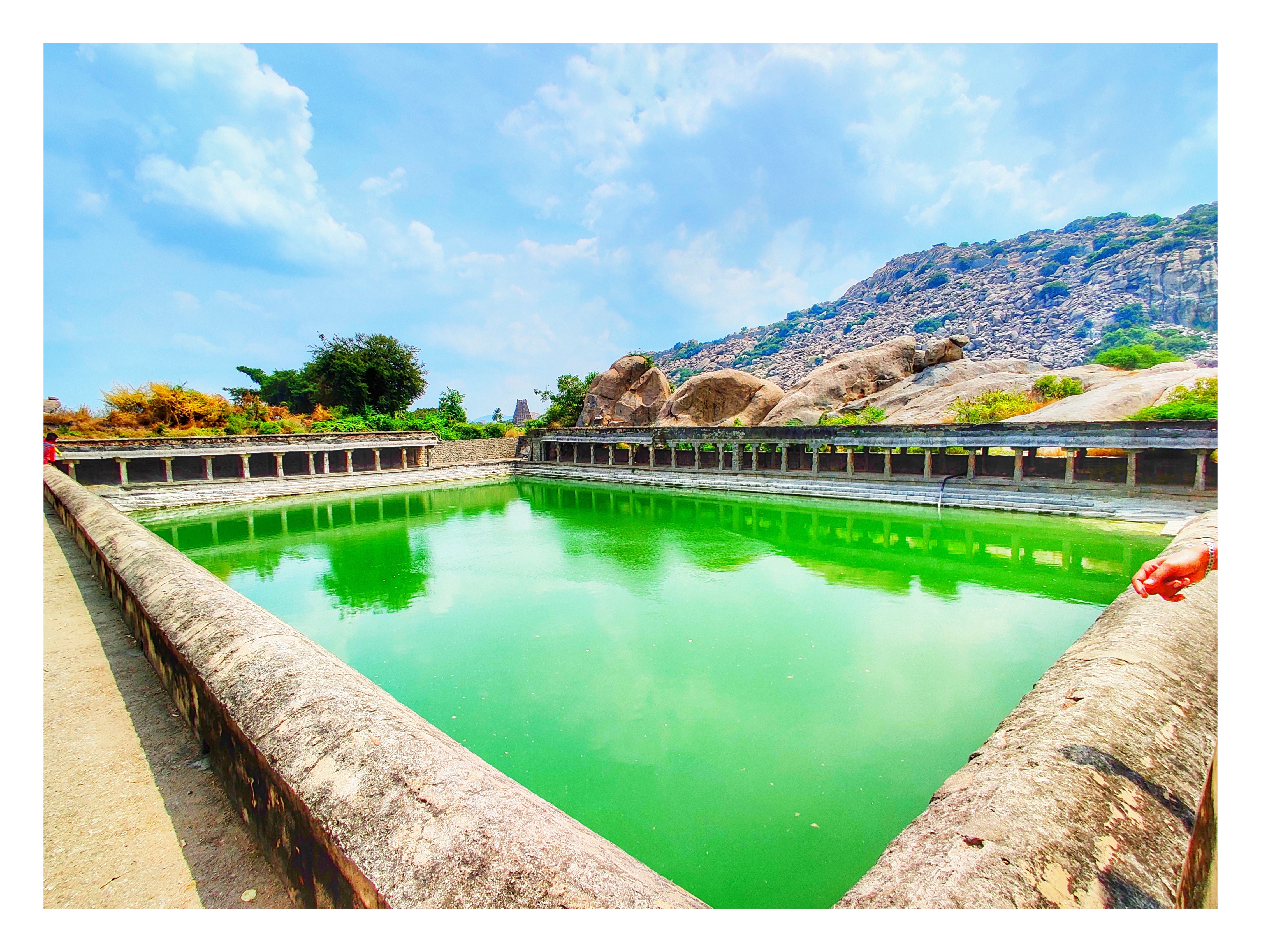 elephant-pond